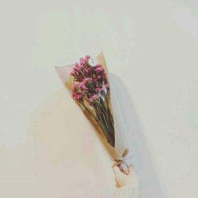 皇家闪光英雄手游下载